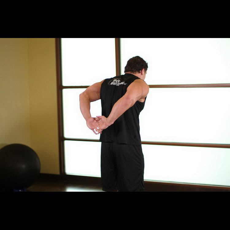 техника выполнения упражнения: Растяжка бицепсов стоя (Standing Biceps Stretch) на фото