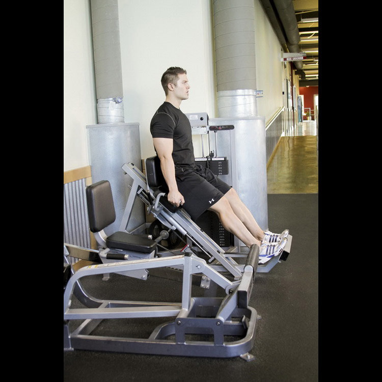техника выполнения упражнения: Жим икроножными мышцами (Calf Press) на фото