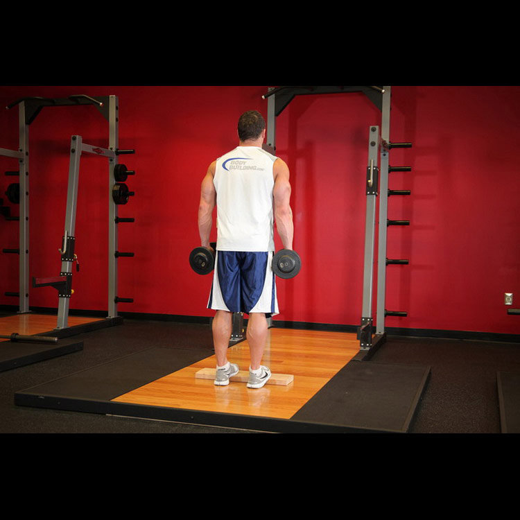 техника выполнения упражнения: Подъем на носки с гантелями с помощью подставки (Standing Dumbbell Calf Raise) на фото