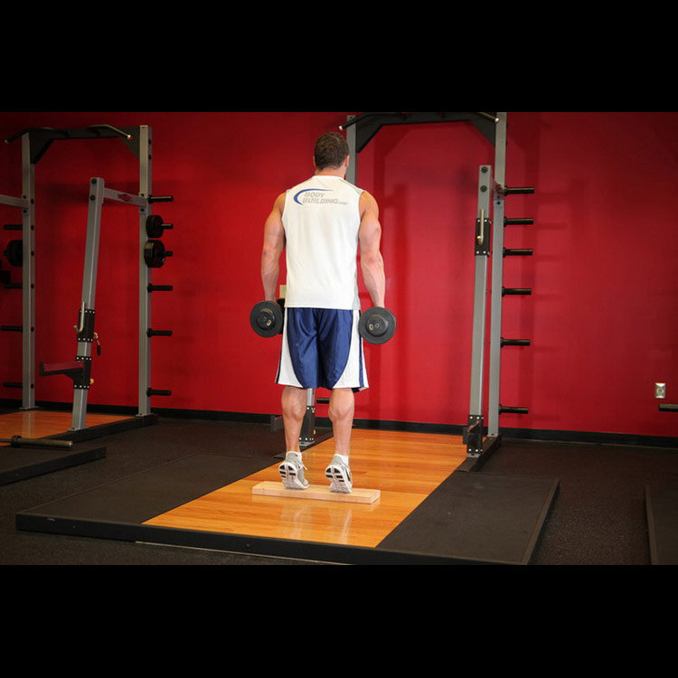 техника выполнения упражнения: Подъем на носки с гантелями с помощью подставки (Standing Dumbbell Calf Raise) на фото