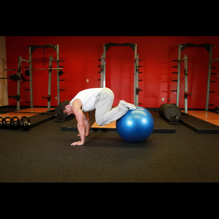 техника выполнения упражнения: Подтягивание ног к груди на фитболе (Exercise Ball Pull-In) на фото