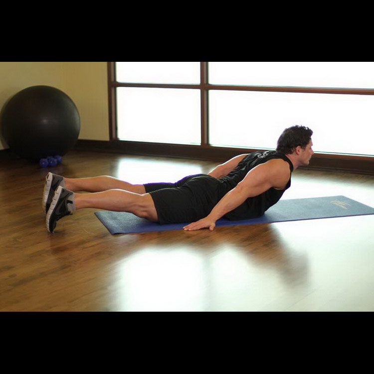 техника выполнения упражнения: Обратное скручивание лежа на животе (Lower Back Curl) на фото