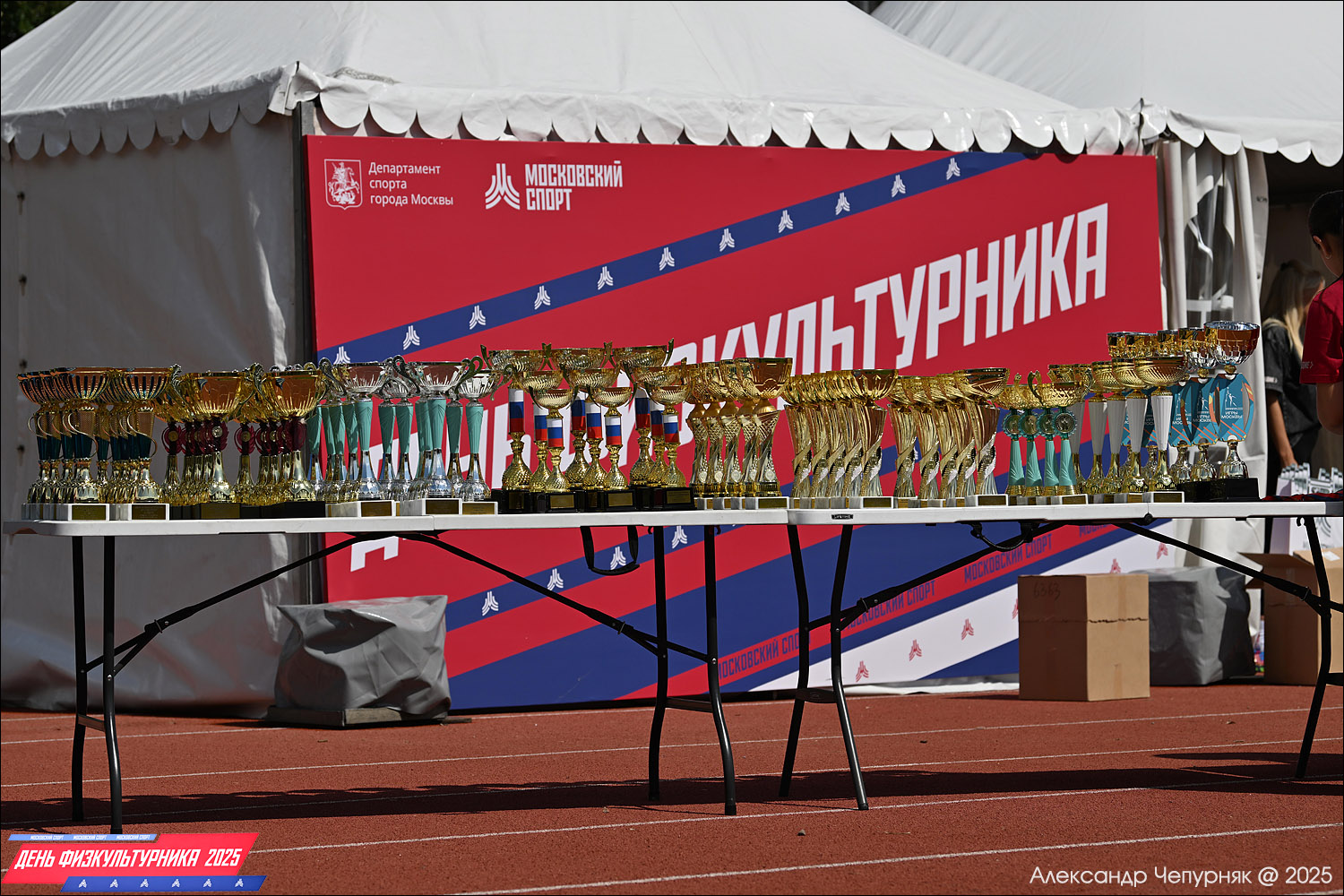 День физкультурника в Москве (9 августа 2025) День физкультурника в Москве (9 августа 2025)