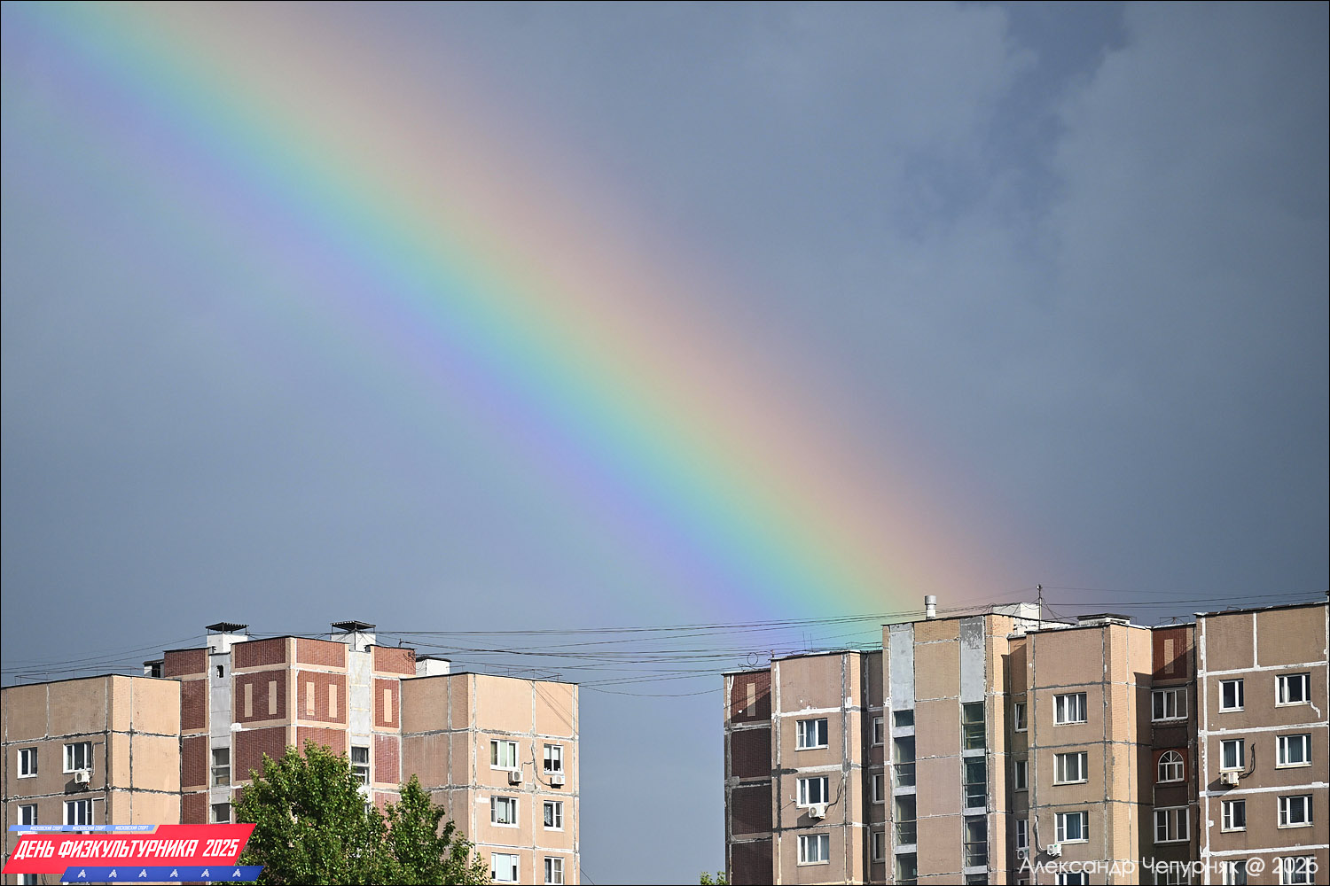 День физкультурника в Москве (9 августа 2025) День физкультурника в Москве (9 августа 2025)