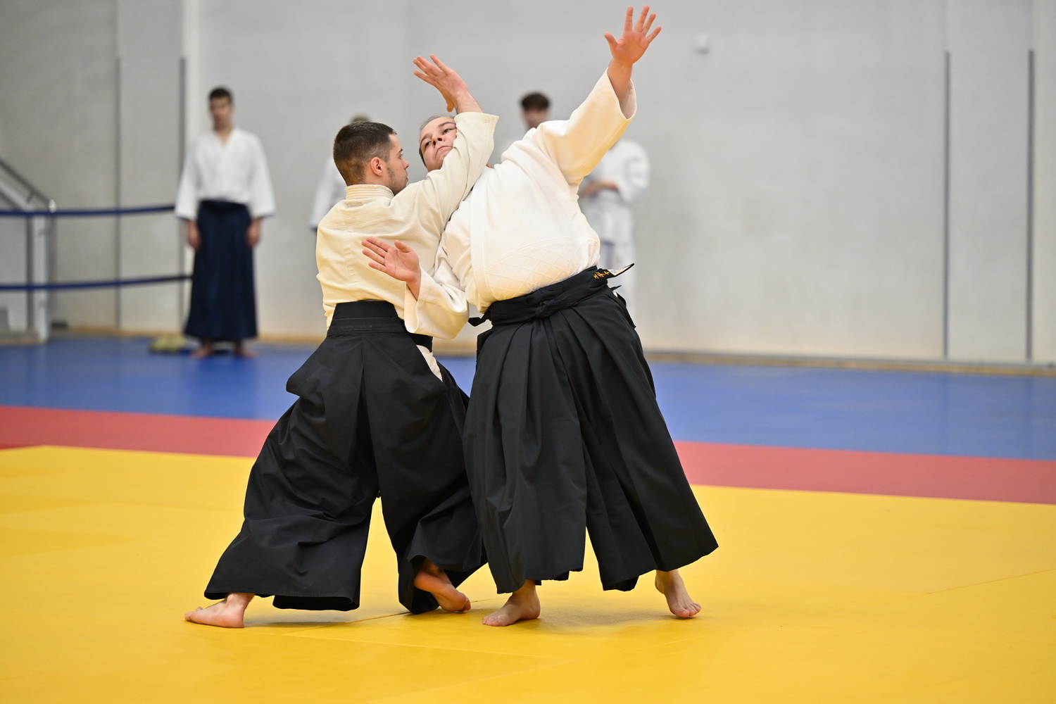 Фестиваль айкидо «VII Всероссийский Тайкай»