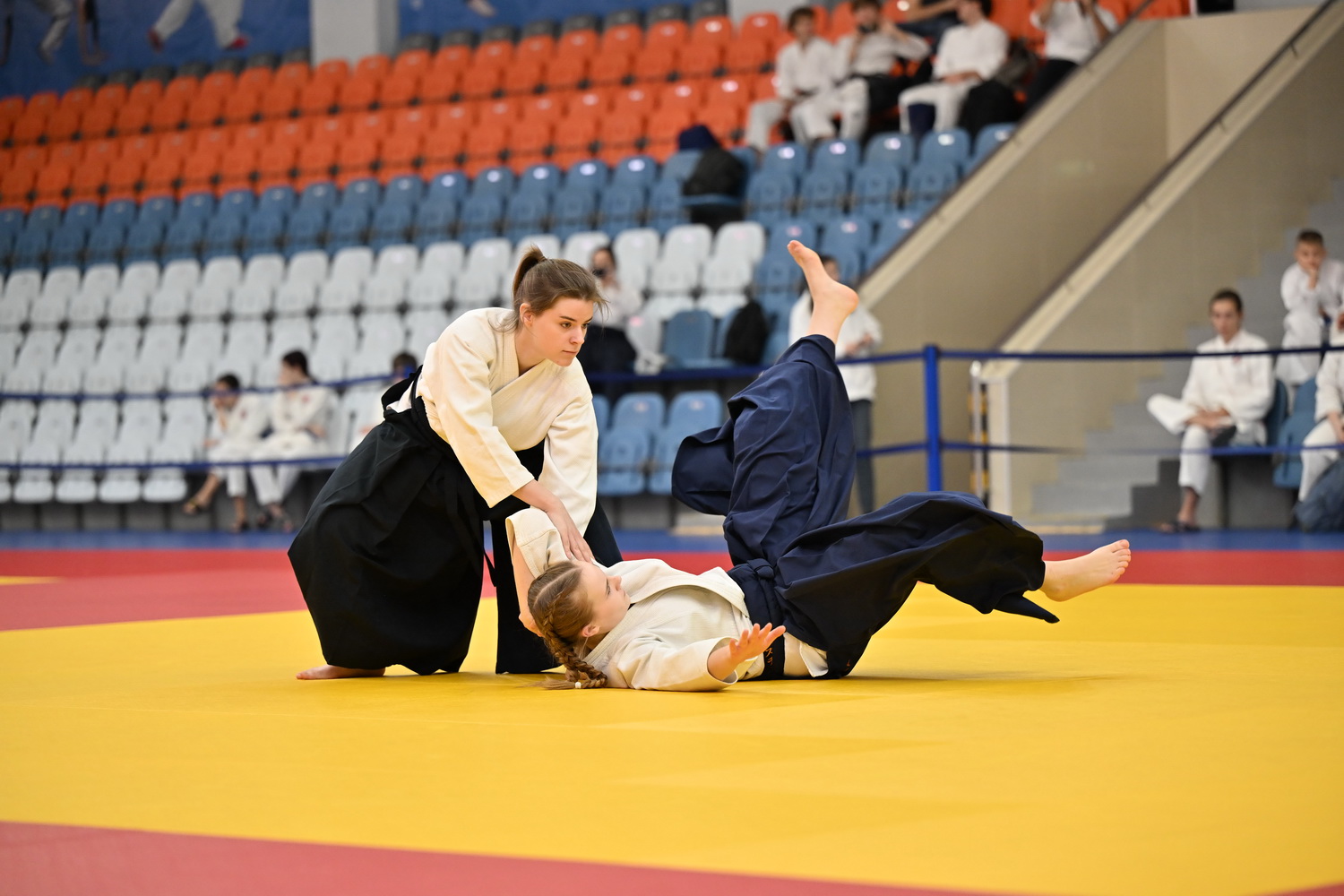 Фестиваль айкидо «VII Всероссийский Тайкай»