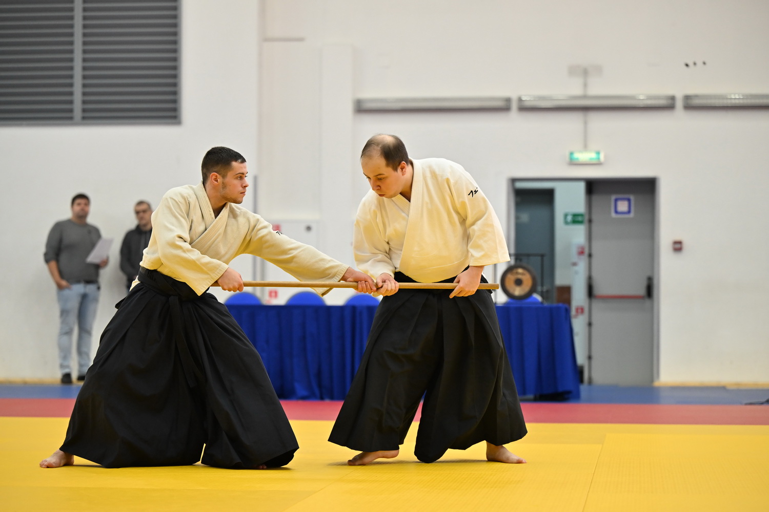 Фестиваль айкидо «VII Всероссийский Тайкай»