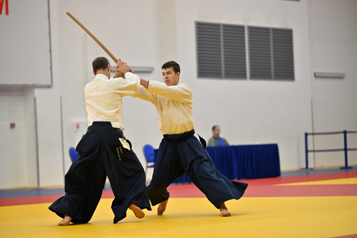 Фестиваль айкидо «VII Всероссийский Тайкай»