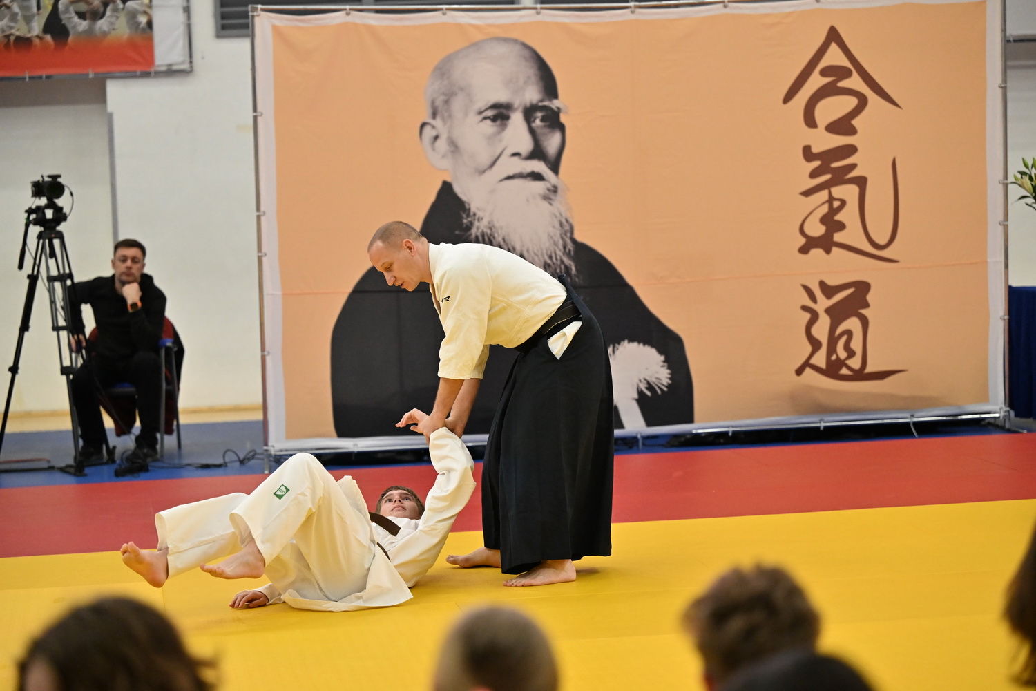 Фестиваль айкидо «VII Всероссийский Тайкай»