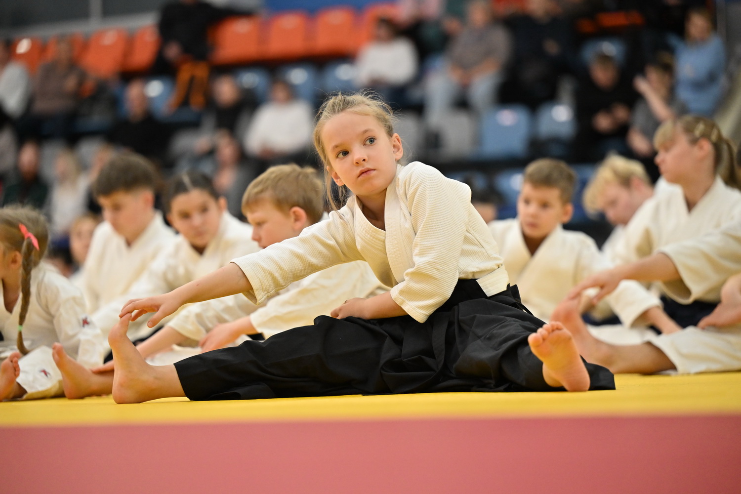 Фестиваль айкидо «VII Всероссийский Тайкай»