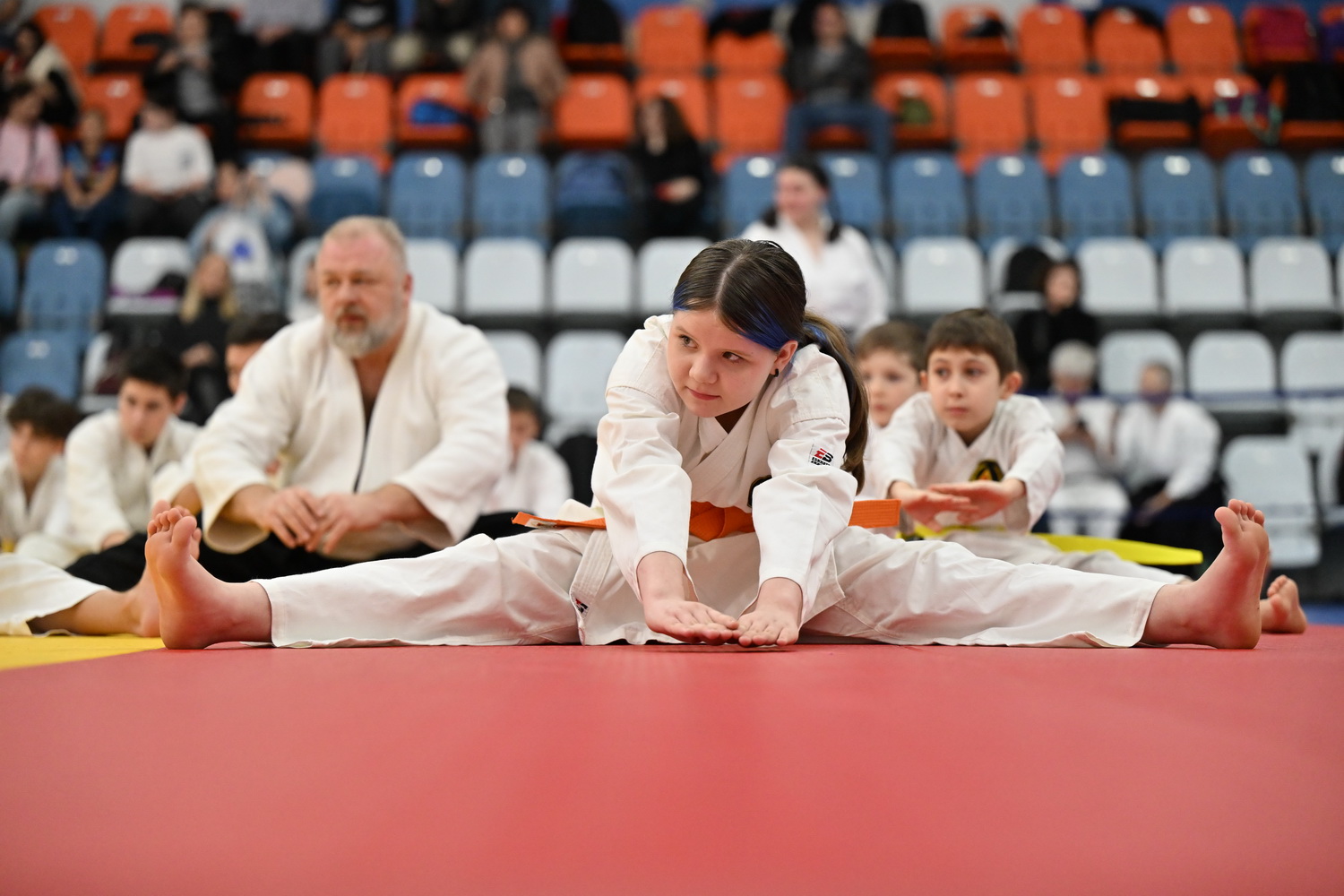 Фестиваль айкидо «VII Всероссийский Тайкай»