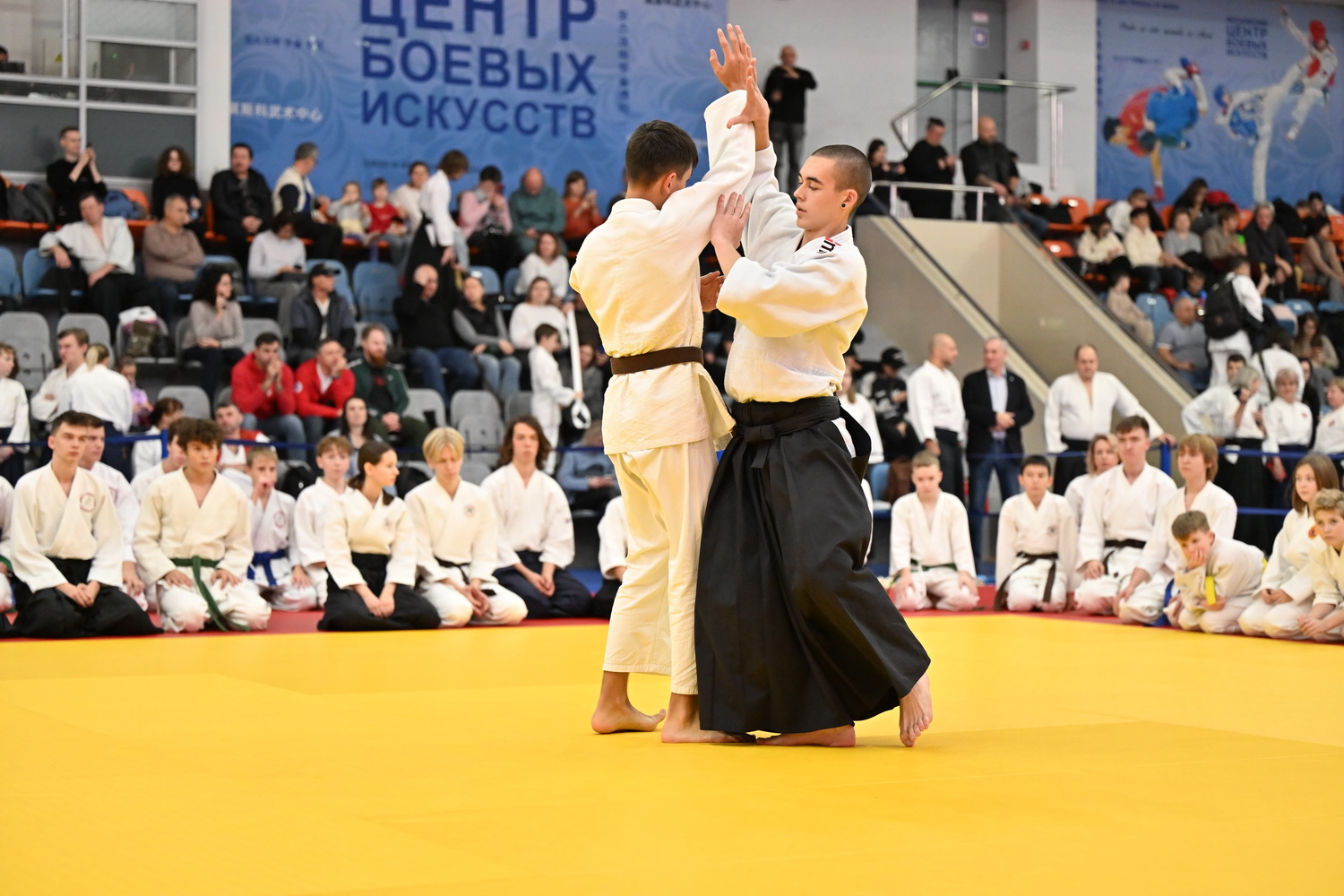 Фестиваль айкидо «VII Всероссийский Тайкай»