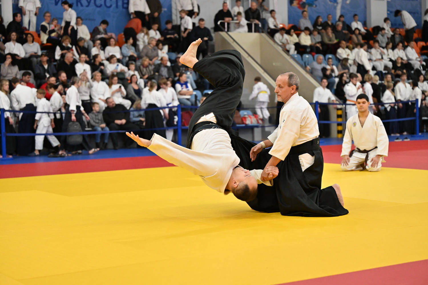 Фестиваль айкидо «VII Всероссийский Тайкай»