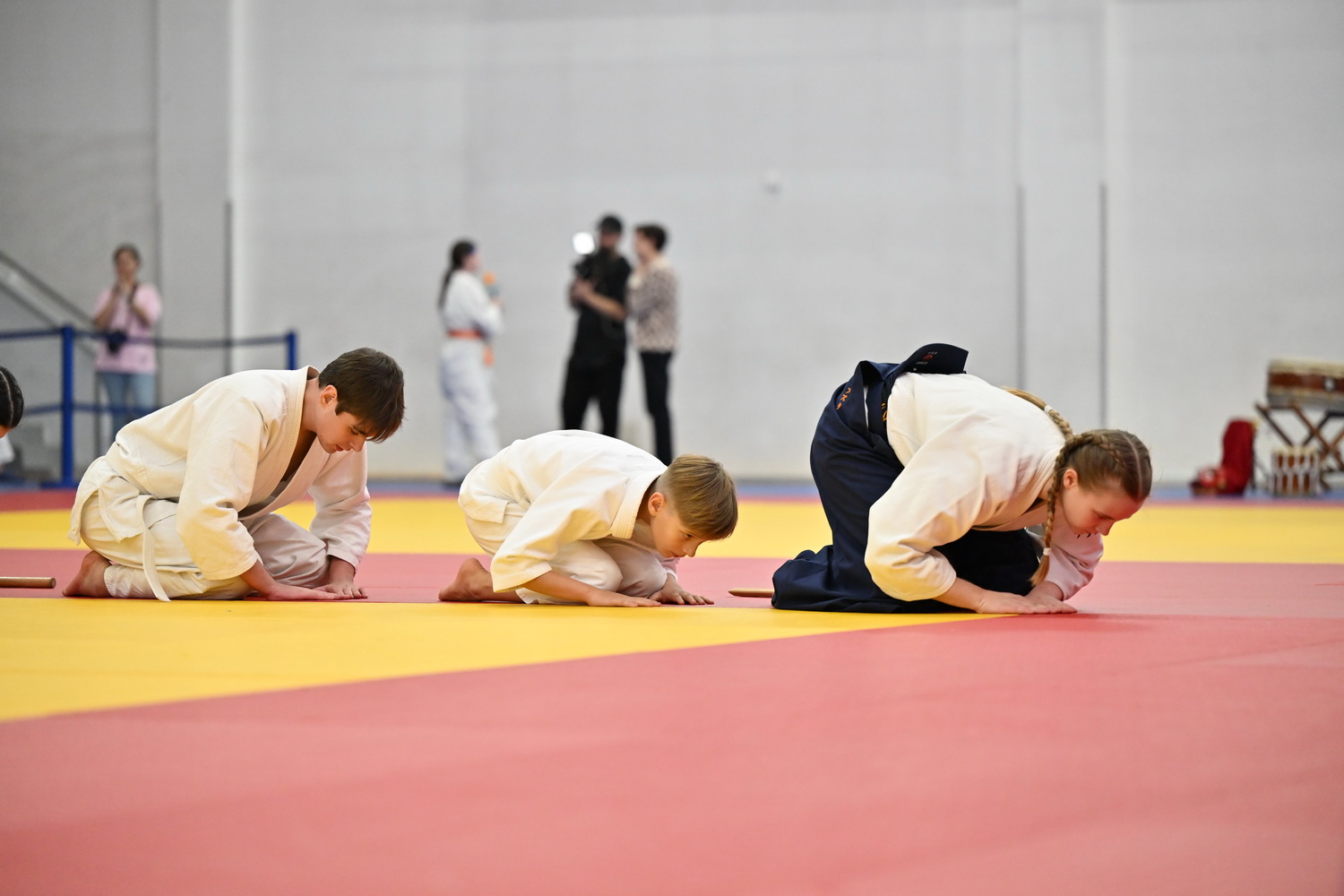 Фестиваль айкидо «VII Всероссийский Тайкай»