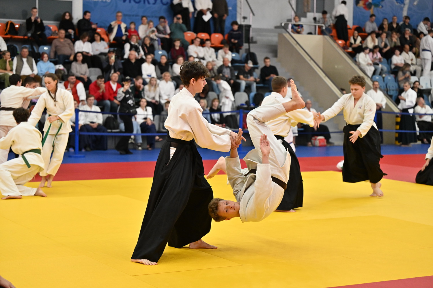 Фестиваль айкидо «VII Всероссийский Тайкай»