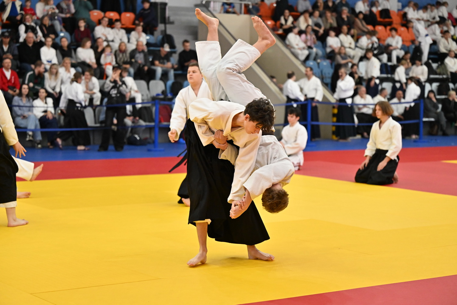 Фестиваль айкидо «VII Всероссийский Тайкай»