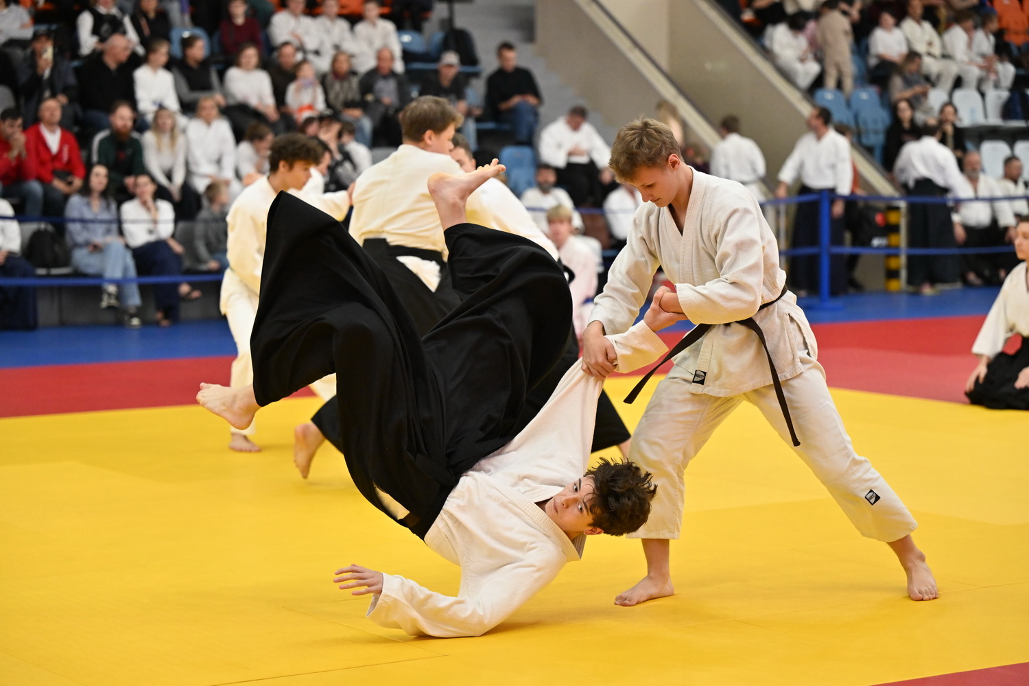 Фестиваль айкидо «VII Всероссийский Тайкай»