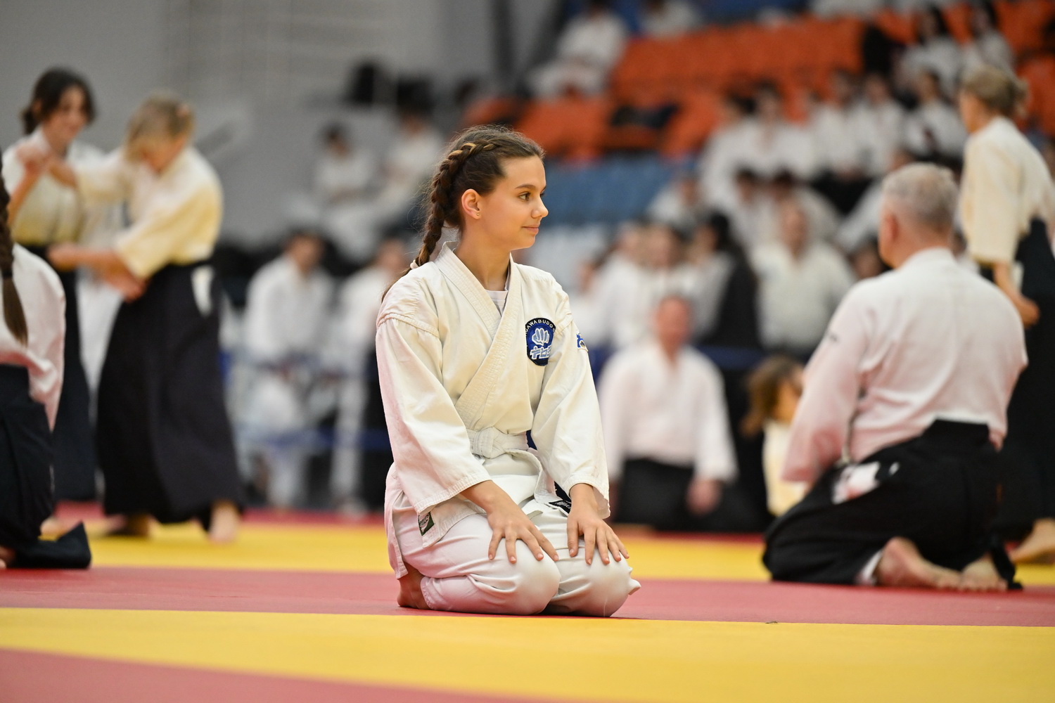 Фестиваль айкидо «VII Всероссийский Тайкай»