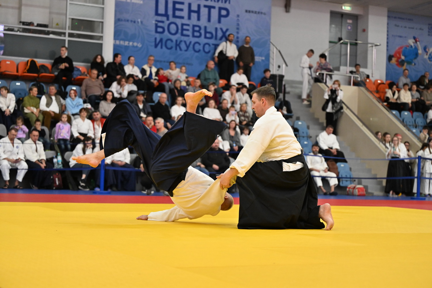 Фестиваль айкидо «VII Всероссийский Тайкай»