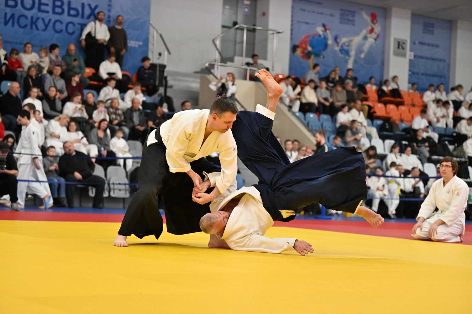 Фестиваль айкидо «VII Всероссийский Тайкай»