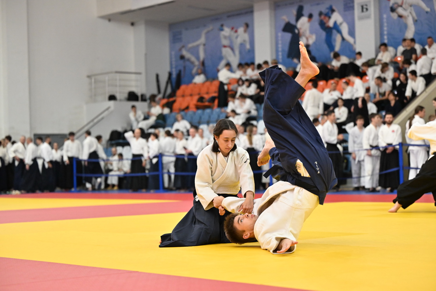 Фестиваль айкидо «VII Всероссийский Тайкай»