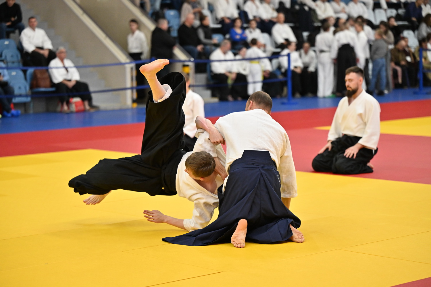 Фестиваль айкидо «VII Всероссийский Тайкай»