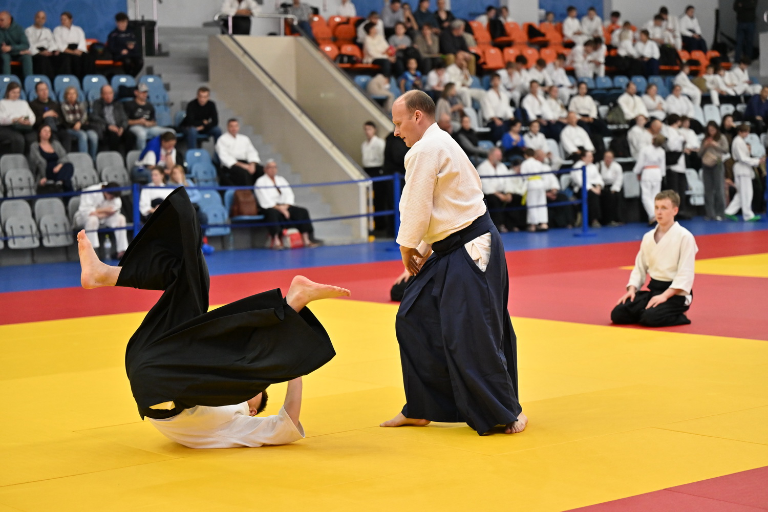 Фестиваль айкидо «VII Всероссийский Тайкай»