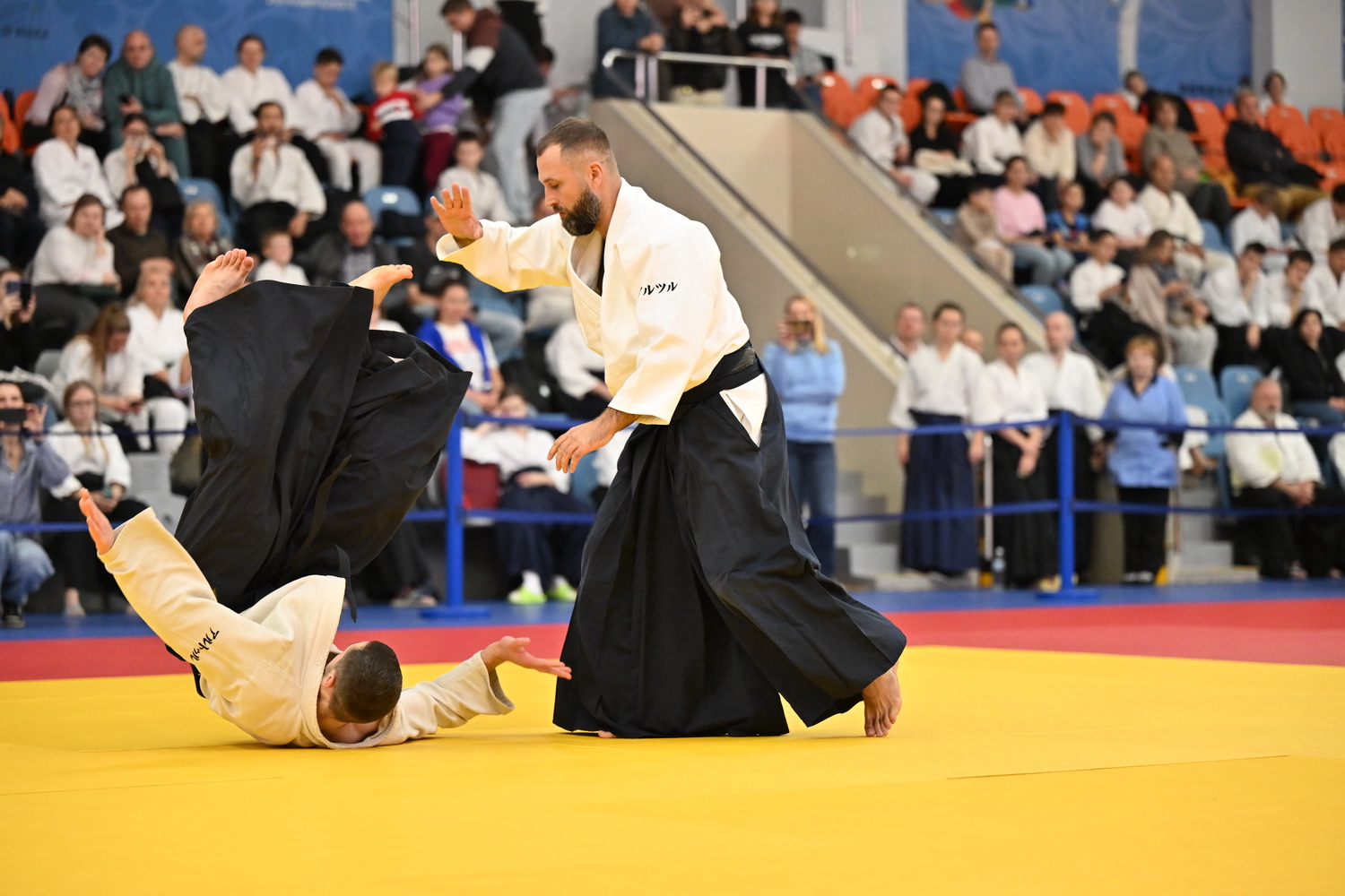 Фестиваль айкидо «VII Всероссийский Тайкай»