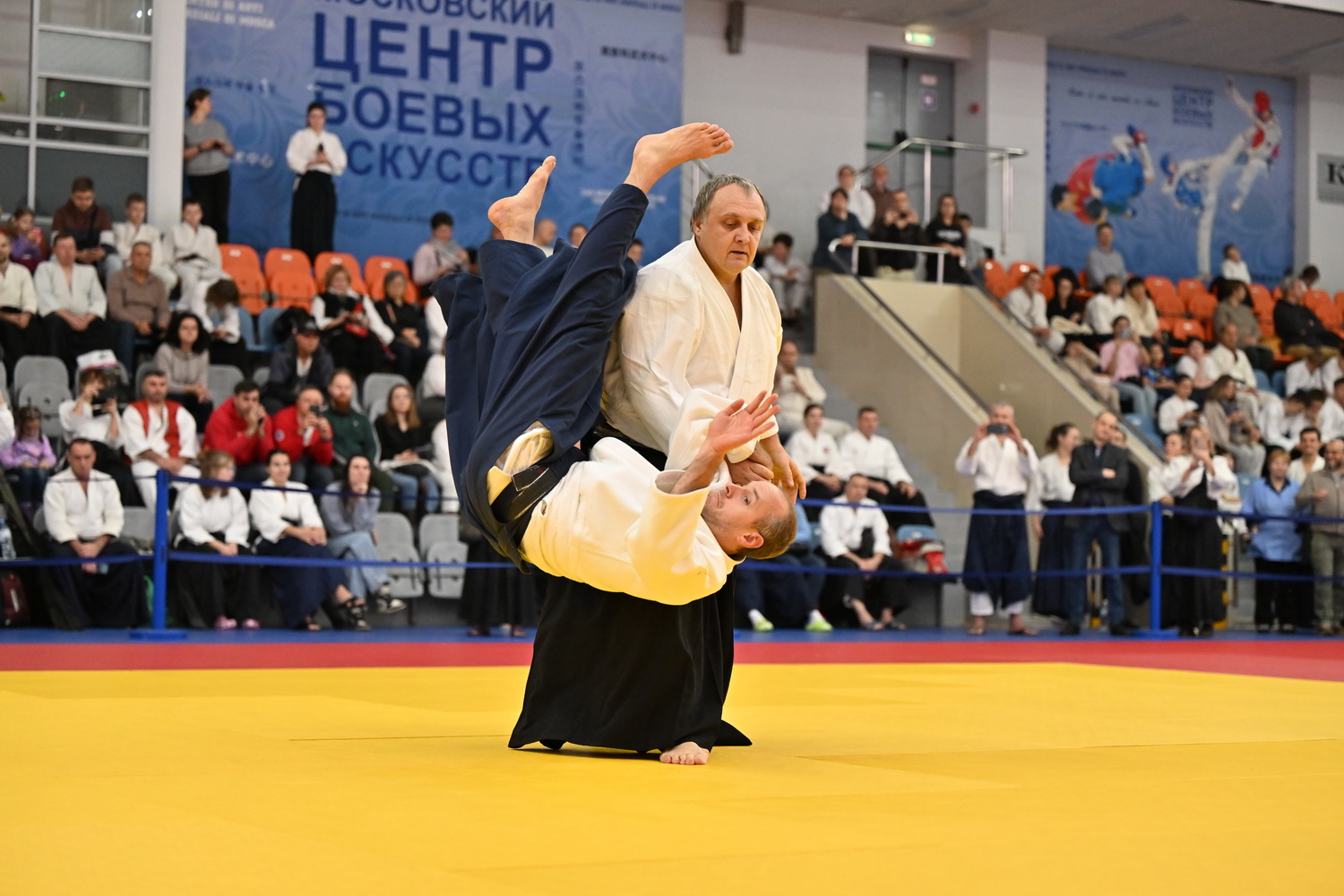 Фестиваль айкидо «VII Всероссийский Тайкай»