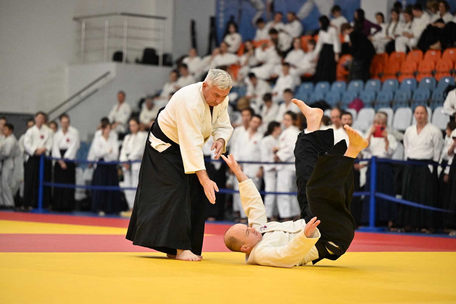 Фестиваль айкидо «VII Всероссийский Тайкай»