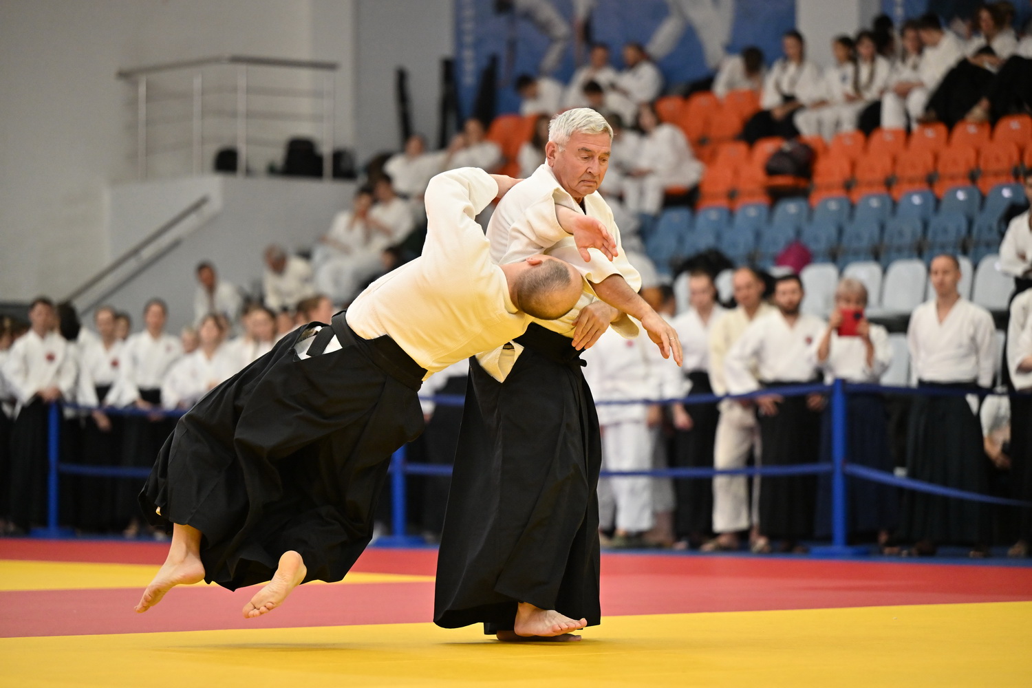 Фестиваль айкидо «VII Всероссийский Тайкай»