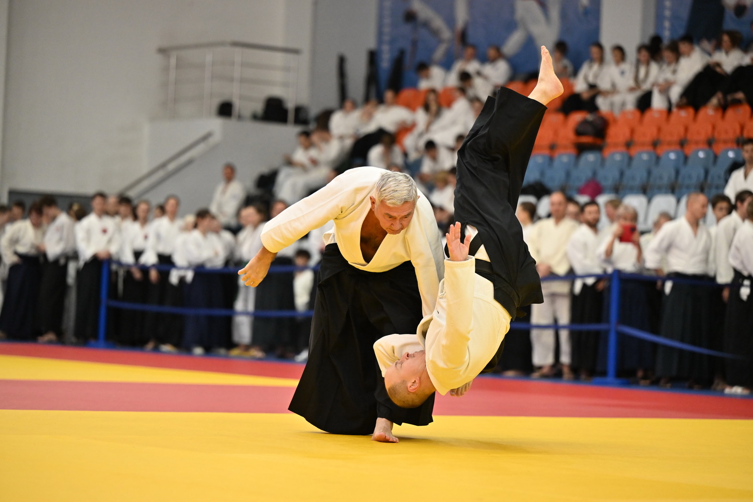 Фестиваль айкидо «VII Всероссийский Тайкай»