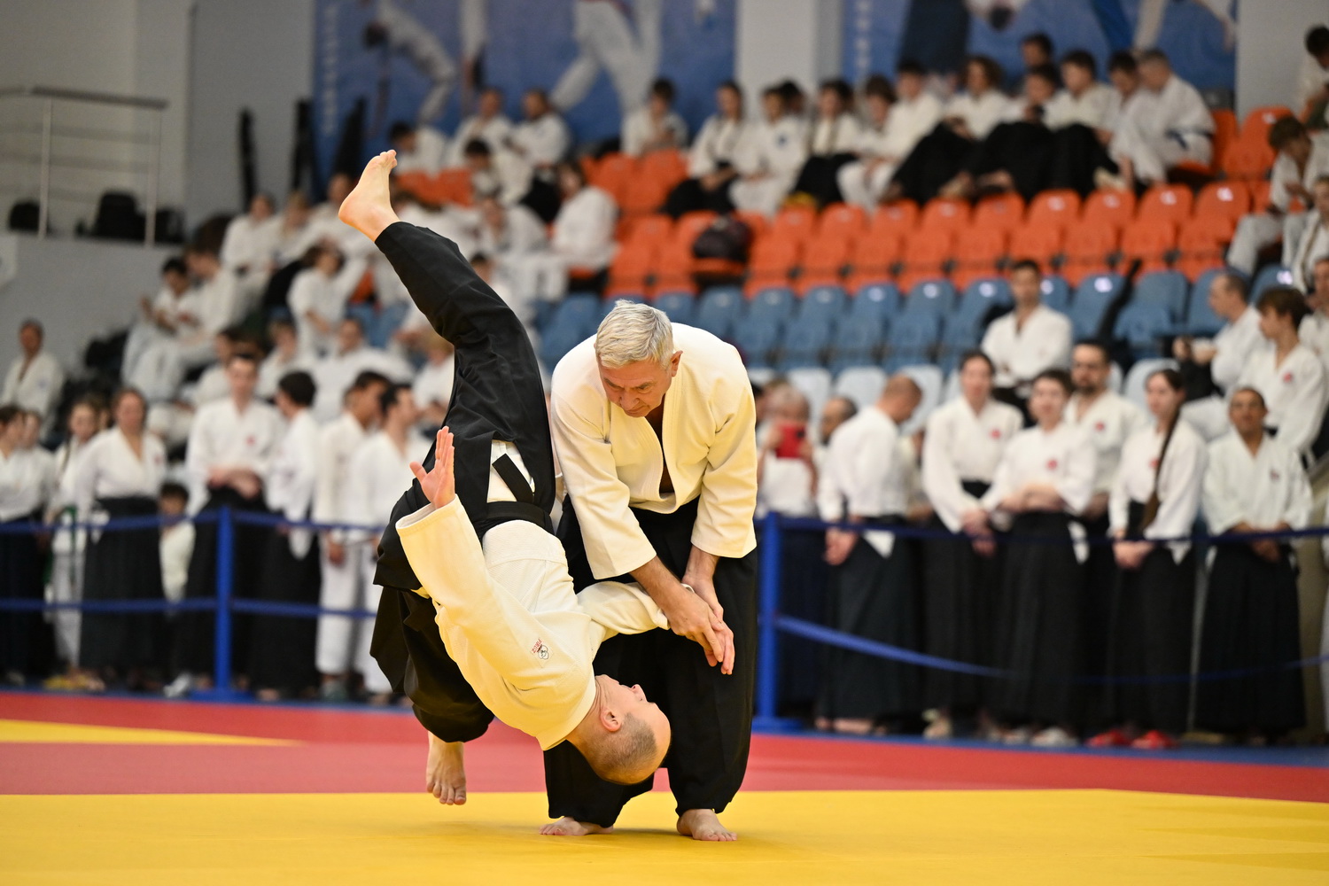 Фестиваль айкидо «VII Всероссийский Тайкай»