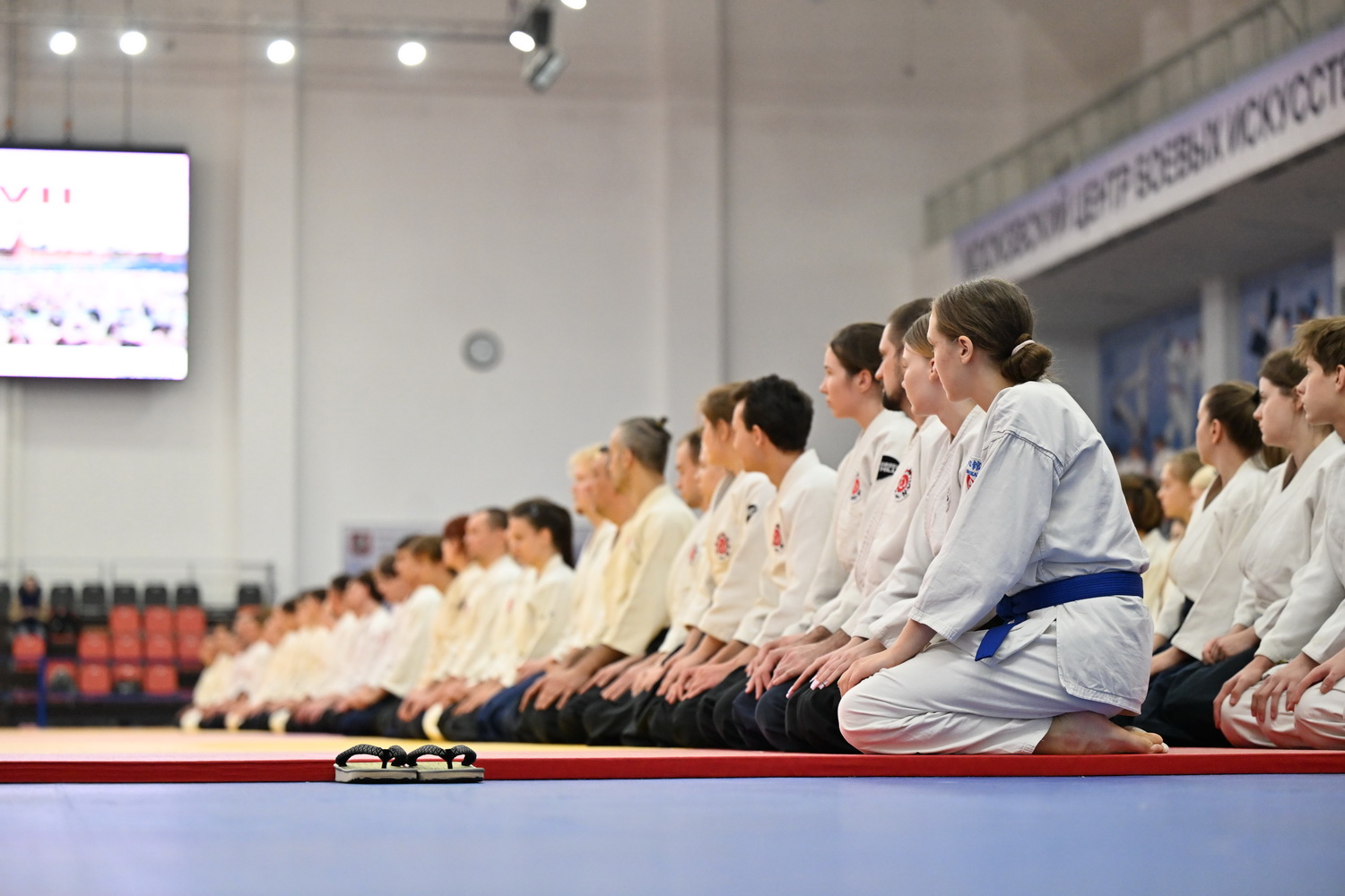 Фестиваль айкидо «VII Всероссийский Тайкай»
