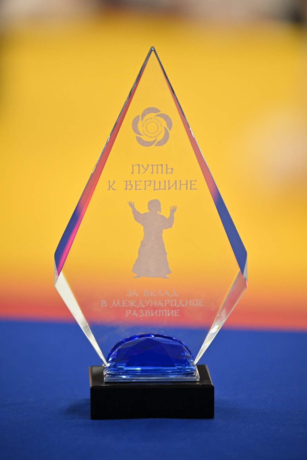 Фестиваль айкидо «VII Всероссийский Тайкай»