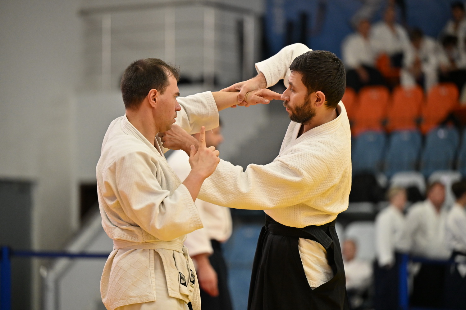 Фестиваль айкидо «VII Всероссийский Тайкай»