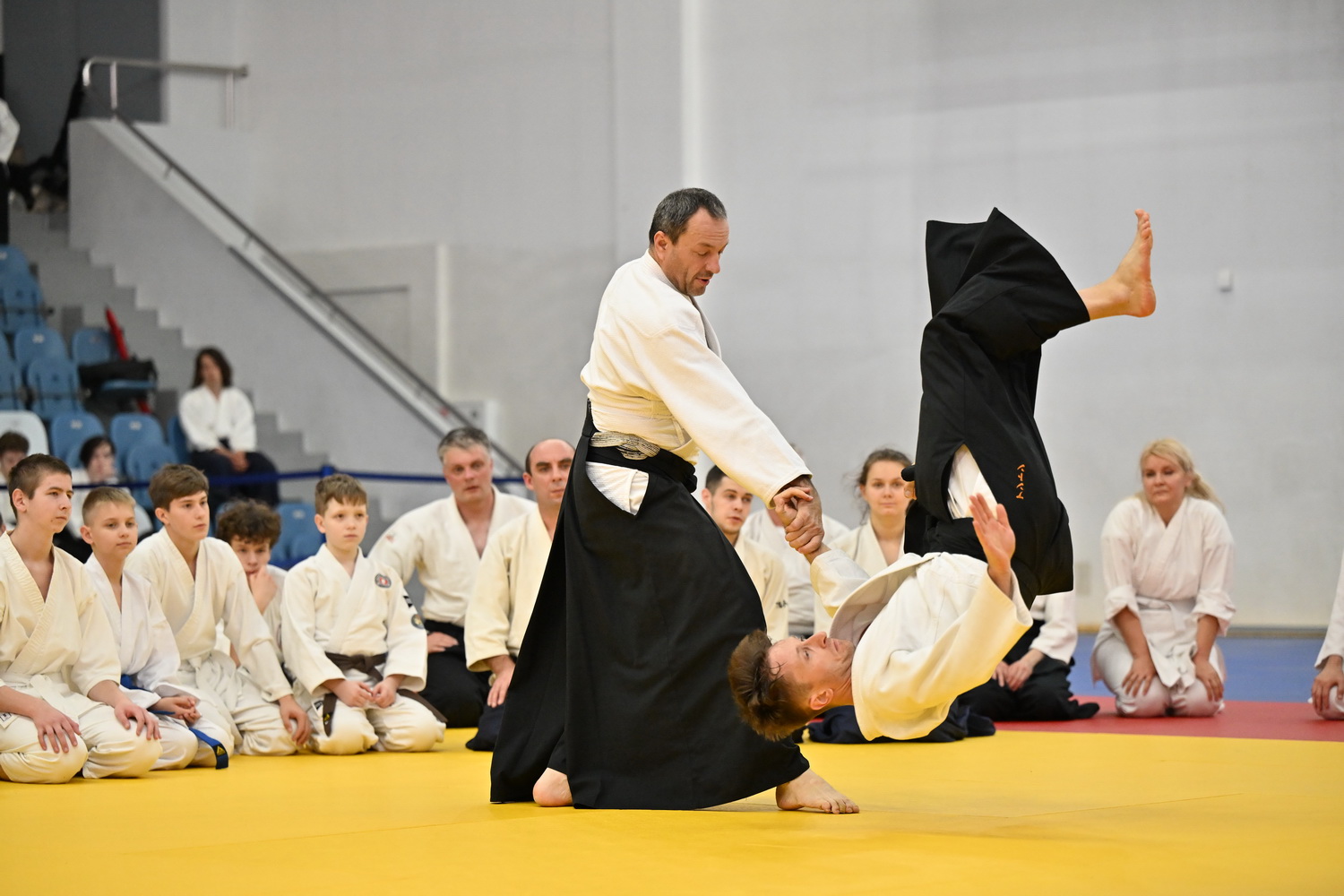 Фестиваль айкидо «VII Всероссийский Тайкай»