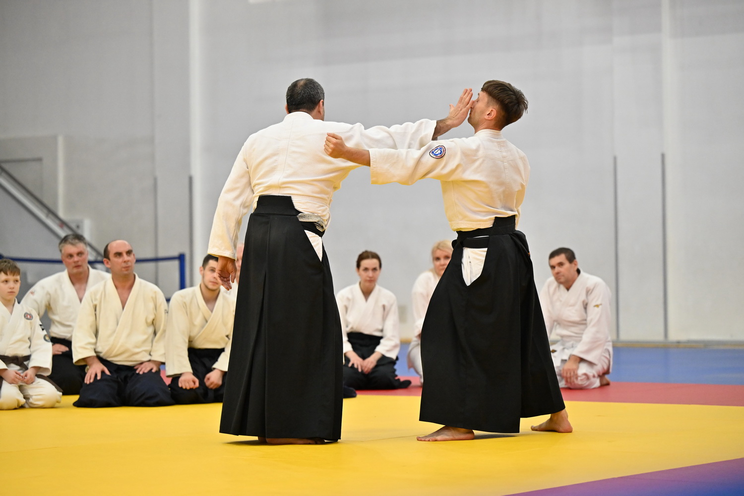Фестиваль айкидо «VII Всероссийский Тайкай»