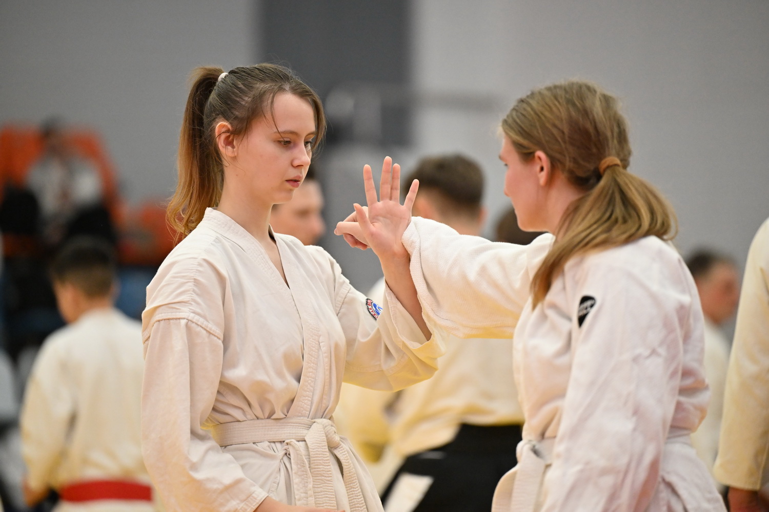 Фестиваль айкидо «VII Всероссийский Тайкай»