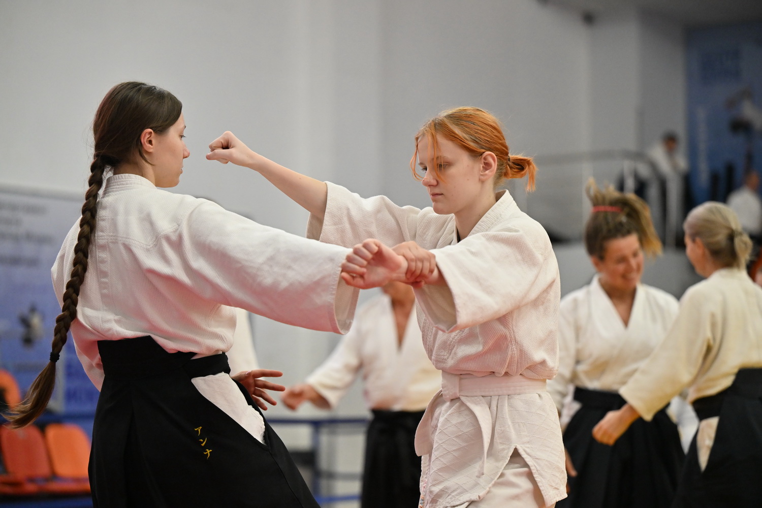 Фестиваль айкидо «VII Всероссийский Тайкай»