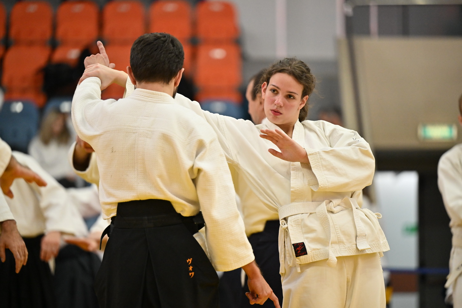 Фестиваль айкидо «VII Всероссийский Тайкай»