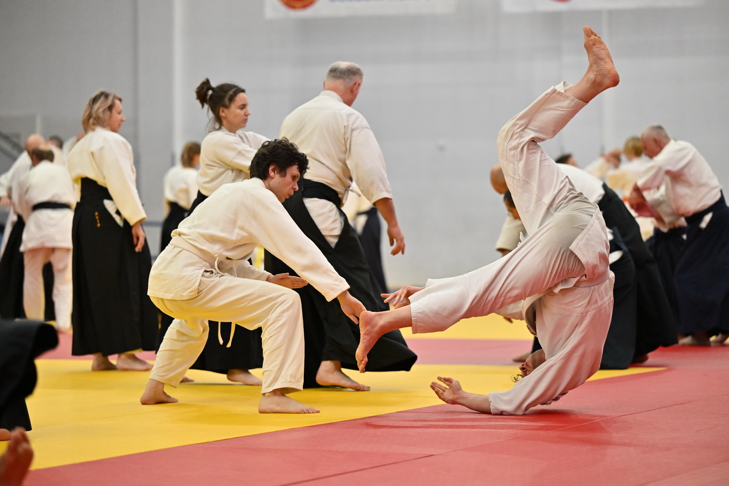 Фестиваль айкидо «VII Всероссийский Тайкай»