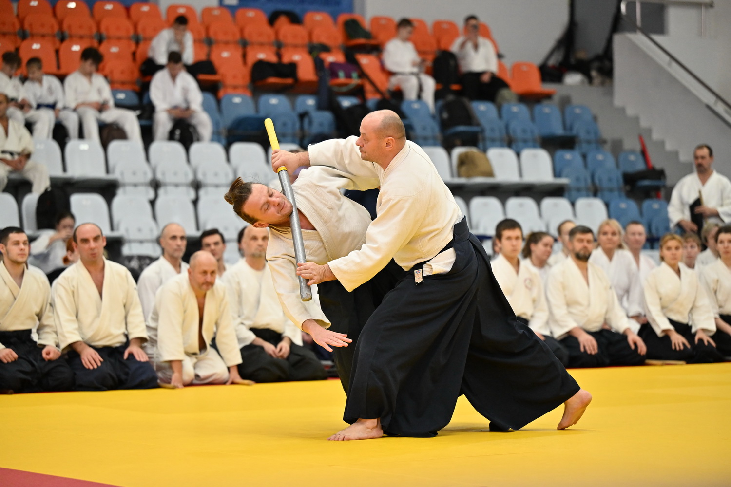 Фестиваль айкидо «VII Всероссийский Тайкай»