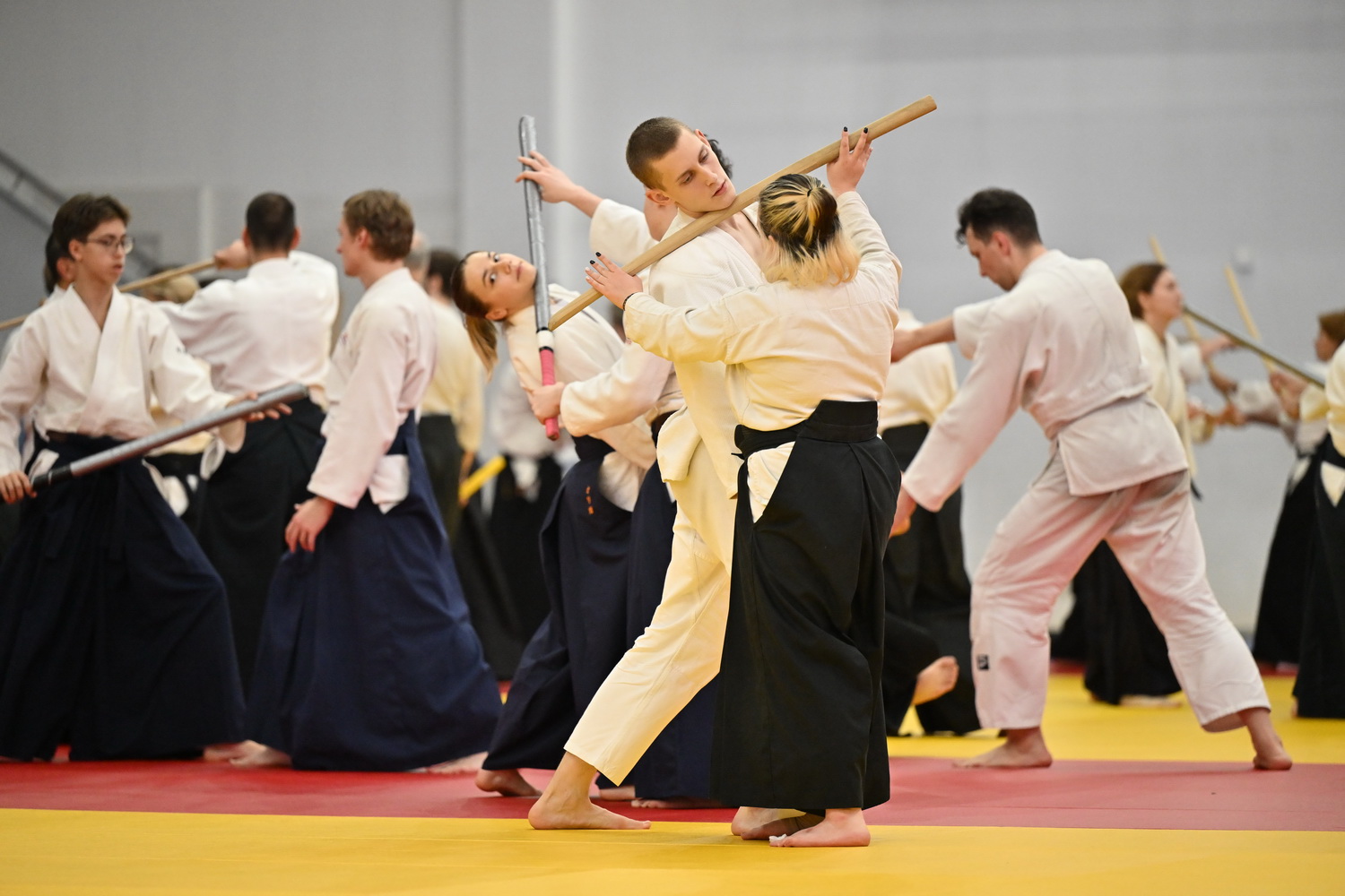 Фестиваль айкидо «VII Всероссийский Тайкай»