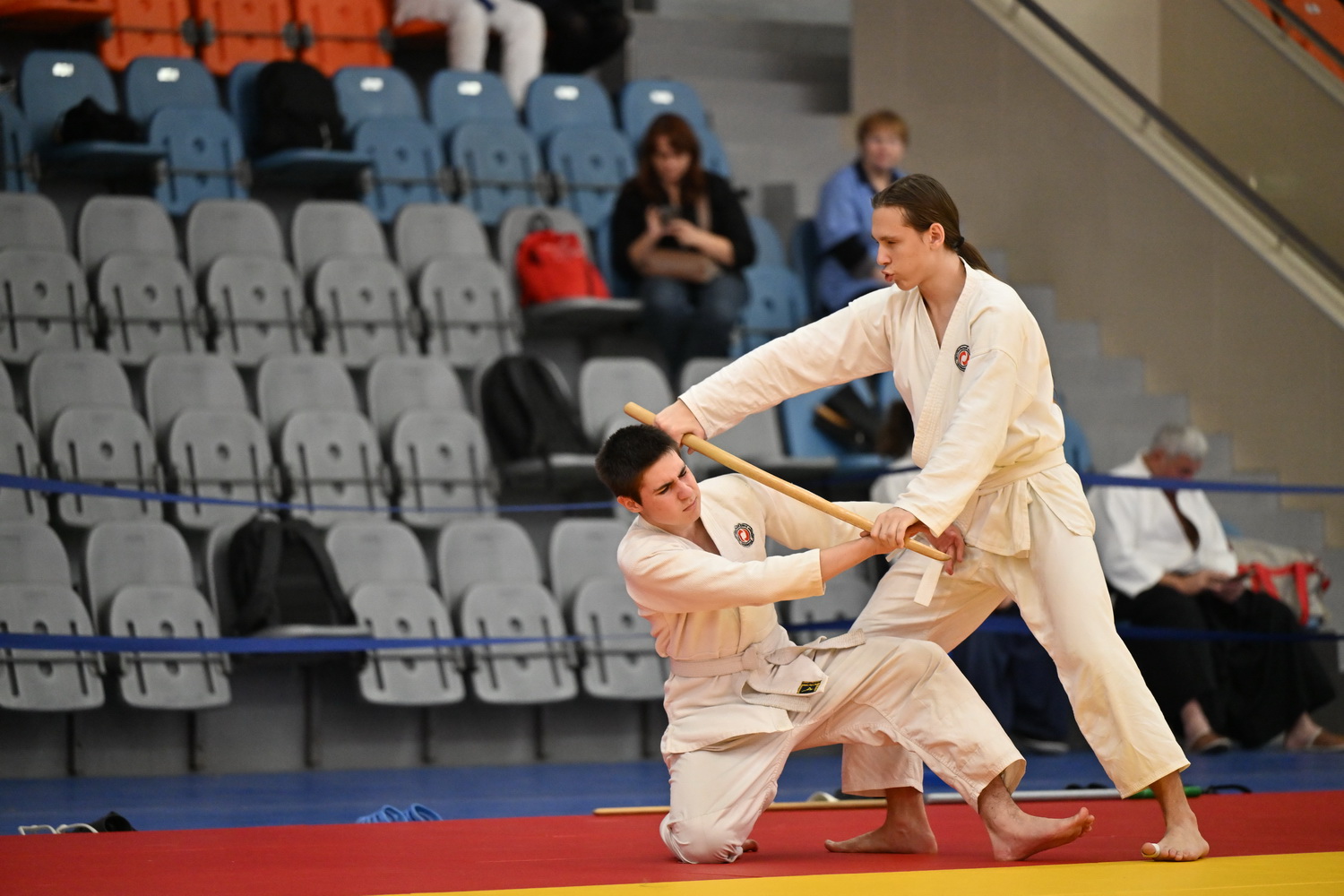 Фестиваль айкидо «VII Всероссийский Тайкай»