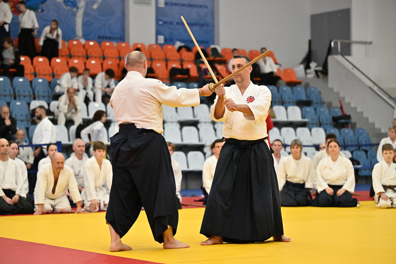 Фестиваль айкидо «VII Всероссийский Тайкай»