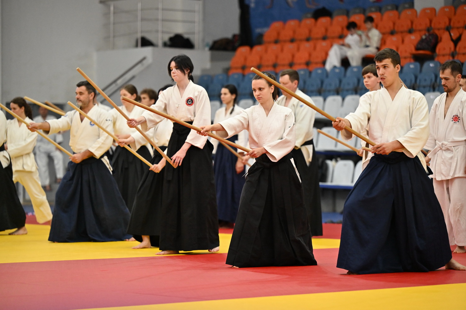 Фестиваль айкидо «VII Всероссийский Тайкай»