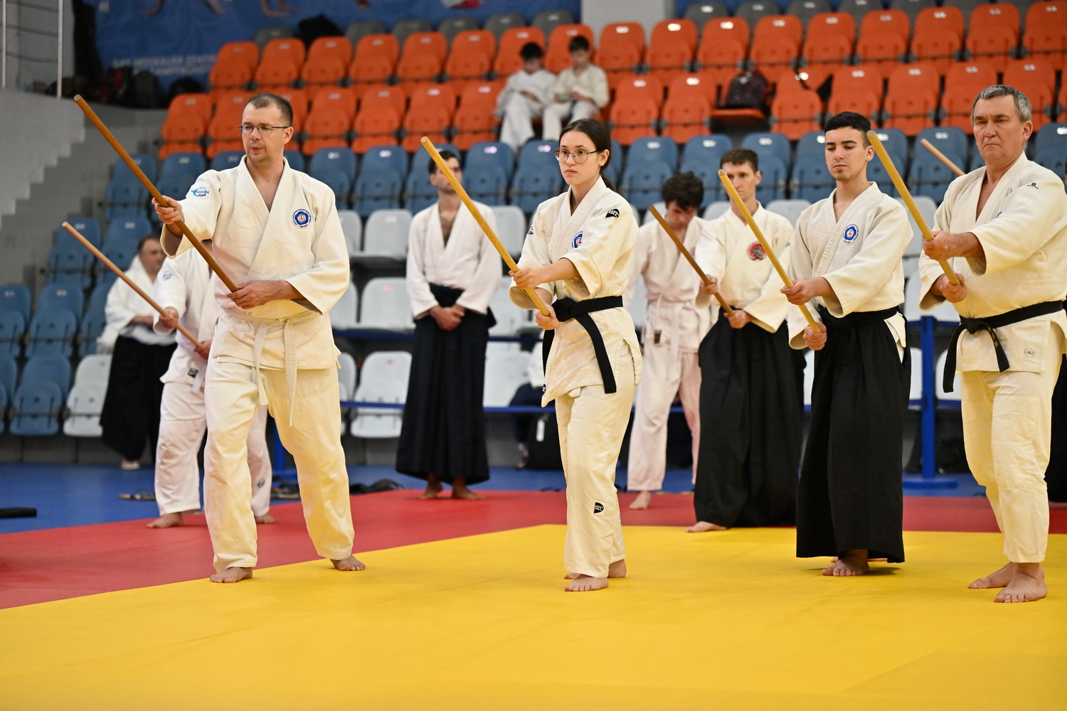 Фестиваль айкидо «VII Всероссийский Тайкай»