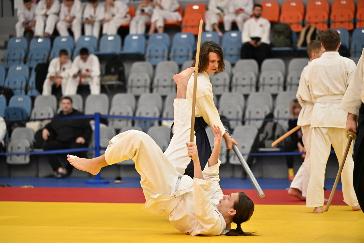 Фестиваль айкидо «VII Всероссийский Тайкай»