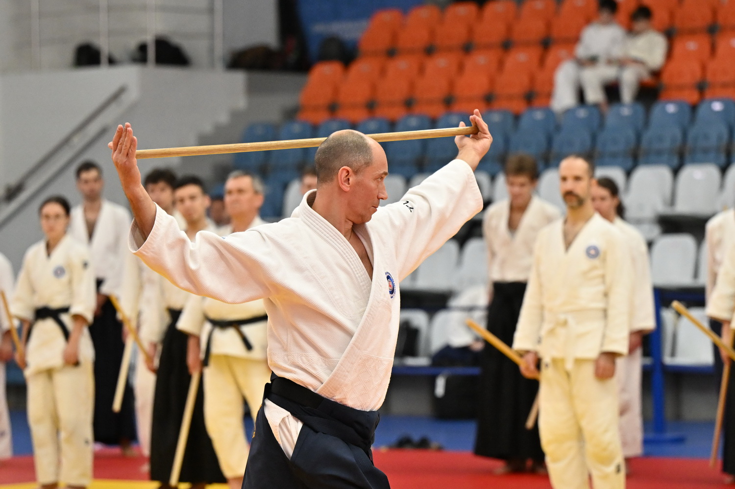 Фестиваль айкидо «VII Всероссийский Тайкай»